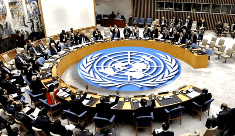 UN Security Council 1