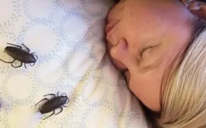 Roaches on bed