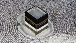 Screenshot_2022-11-15-19-58-43-613-edit_com.android.chrome