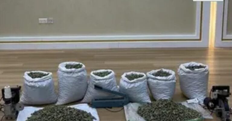 Screenshot_2022-11-20-20-22-46-242-edit_com.android.chrome