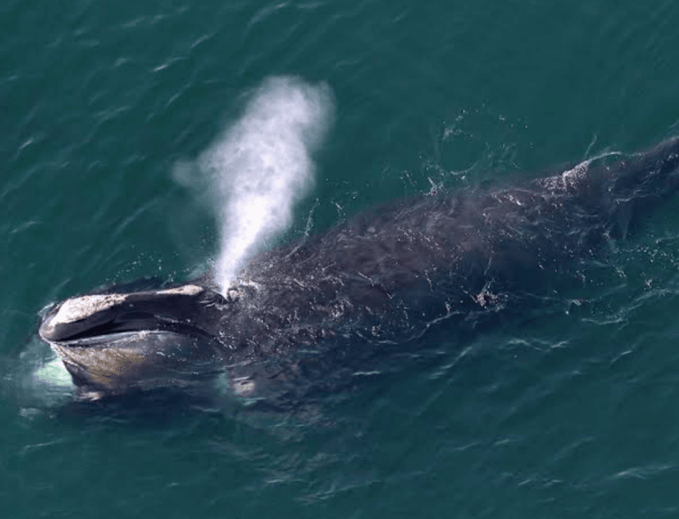 Screenshot_2022-12-28-11-07-05-215_com.android.chrome