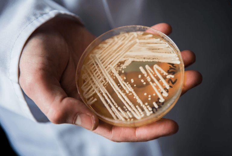 Screenshot_2023-03-21-19-44-26-068_com.android.chrome